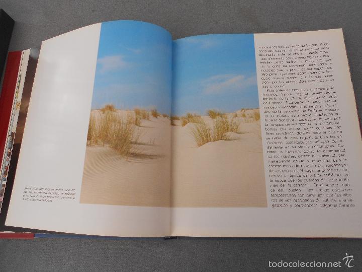 Libros de segunda mano: DO&Ntilde;ANA - Foto 9