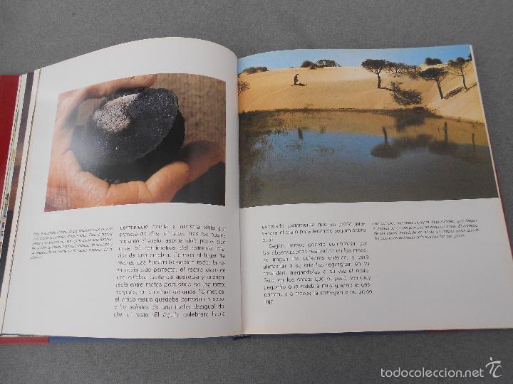 Libros de segunda mano: DO&Ntilde;ANA - Foto 11