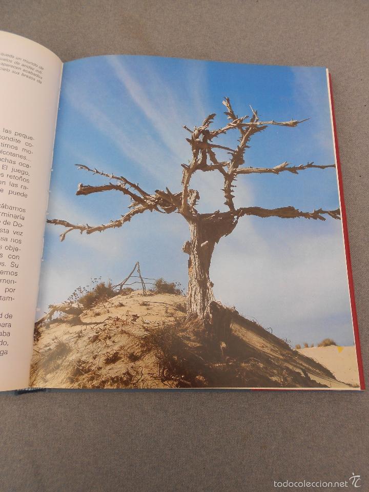 Libros de segunda mano: DO&Ntilde;ANA - Foto 12
