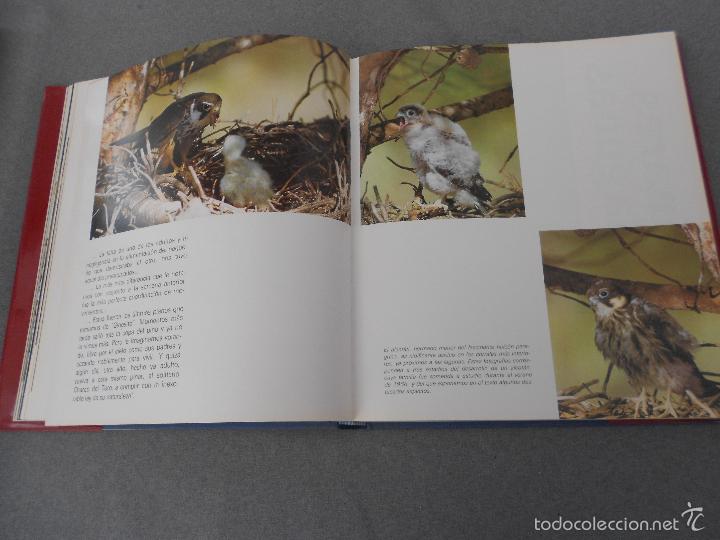 Libros de segunda mano: DO&Ntilde;ANA - Foto 13