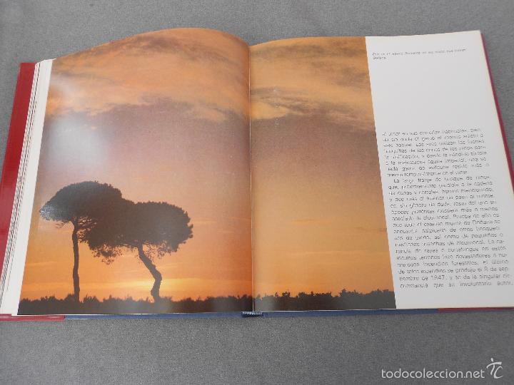 Libros de segunda mano: DO&Ntilde;ANA - Foto 14