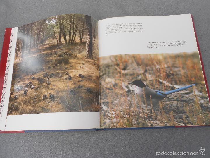 Libros de segunda mano: DO&Ntilde;ANA - Foto 15