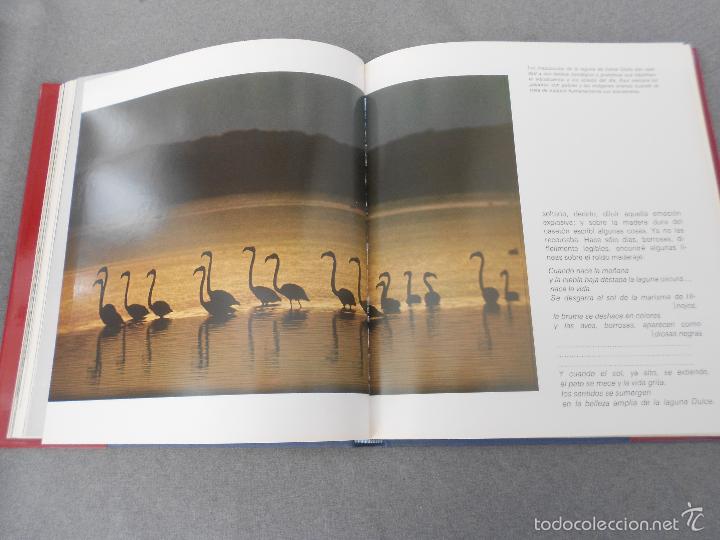 Libros de segunda mano: DO&Ntilde;ANA - Foto 16