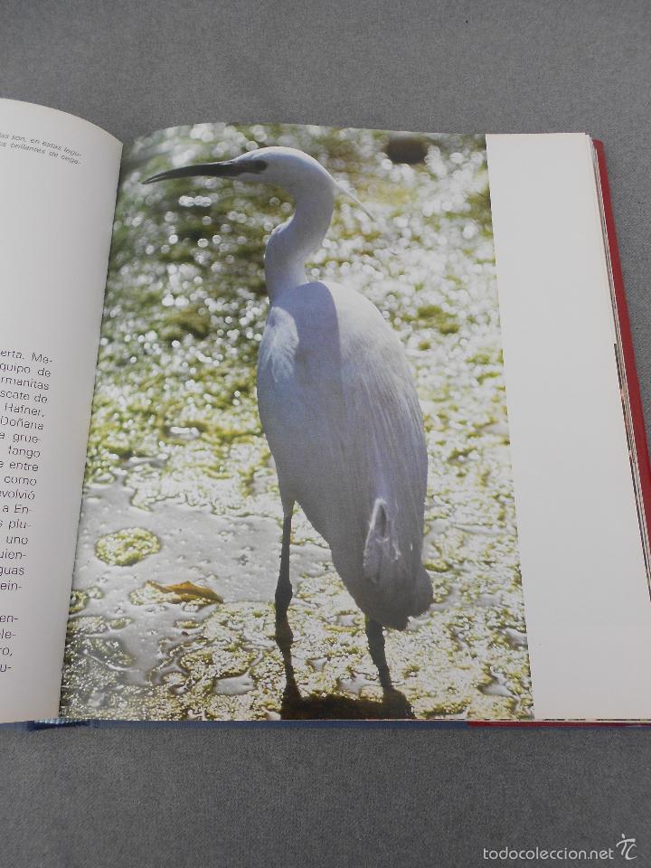 Libros de segunda mano: DO&Ntilde;ANA - Foto 17