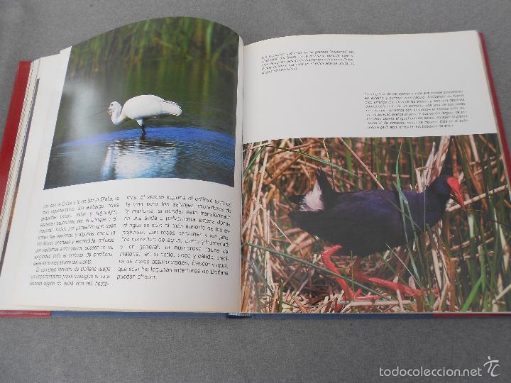 Libros de segunda mano: DO&Ntilde;ANA - Foto 18