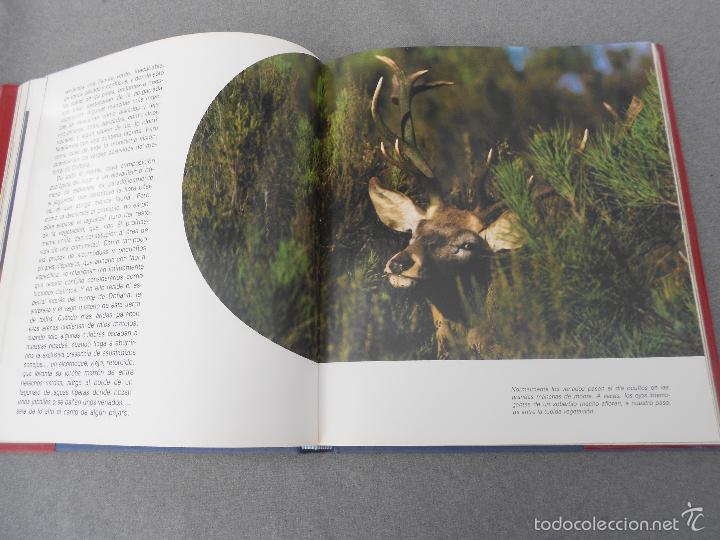 Libros de segunda mano: DO&Ntilde;ANA - Foto 19