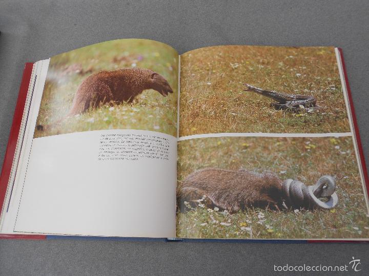 Libros de segunda mano: DO&Ntilde;ANA - Foto 20