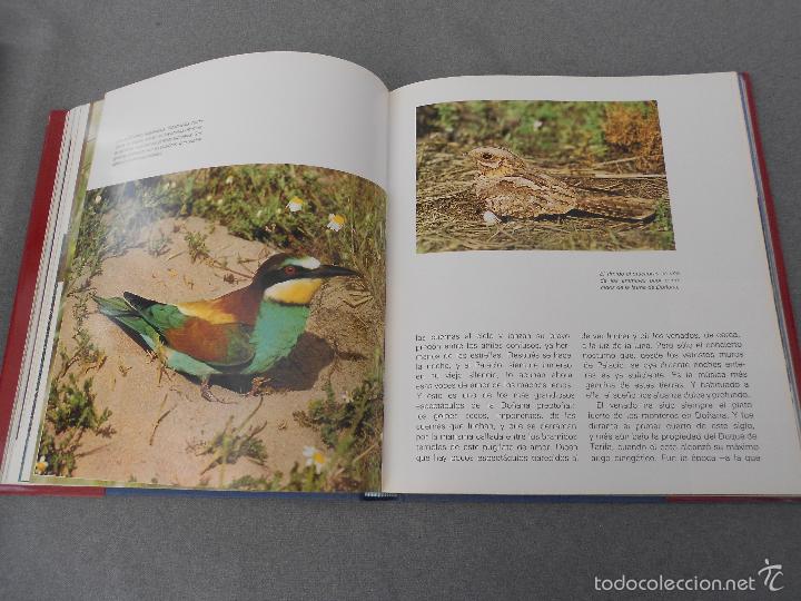 Libros de segunda mano: DO&Ntilde;ANA - Foto 21