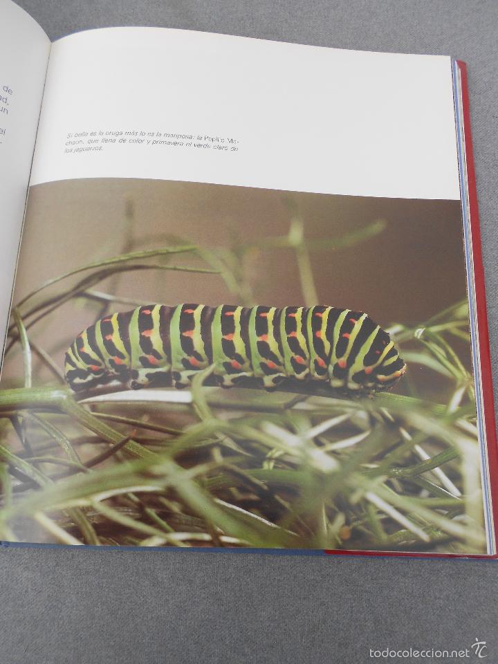Libros de segunda mano: DO&Ntilde;ANA - Foto 22