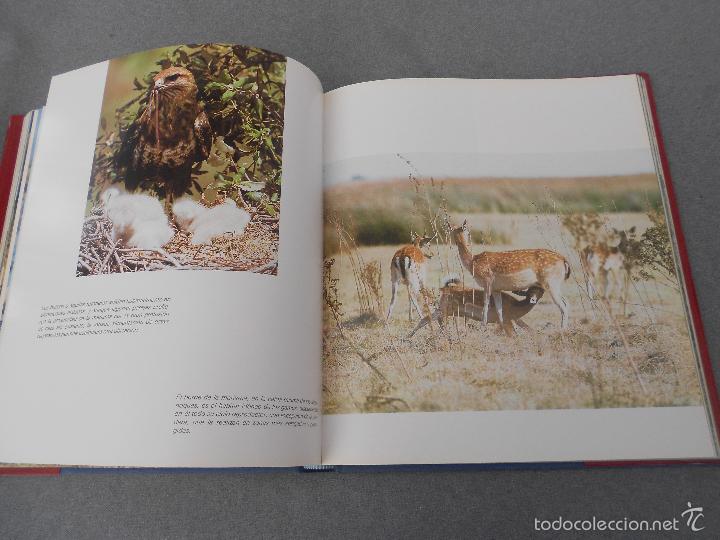 Libros de segunda mano: DO&Ntilde;ANA - Foto 25