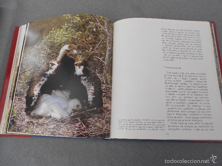 Libros de segunda mano: DO&Ntilde;ANA - Foto 26