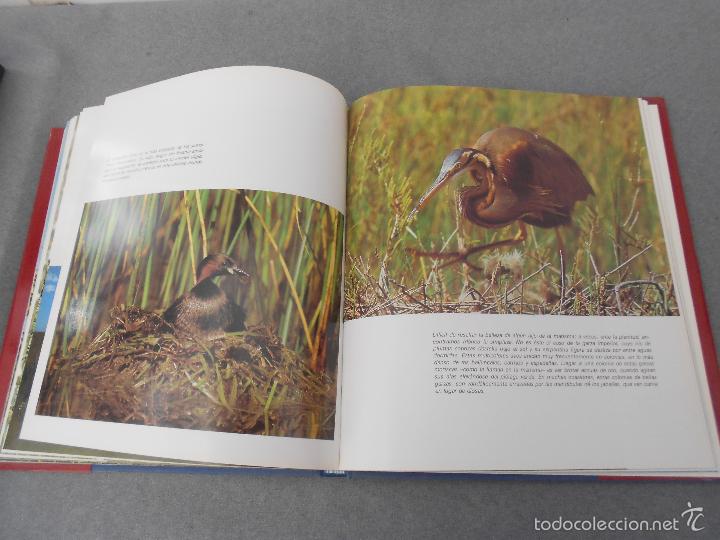 Libros de segunda mano: DO&Ntilde;ANA - Foto 27