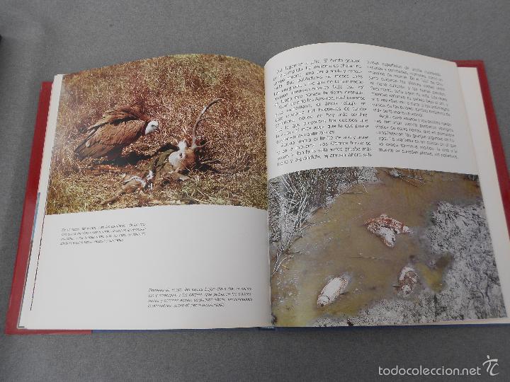 Libros de segunda mano: DO&Ntilde;ANA - Foto 28