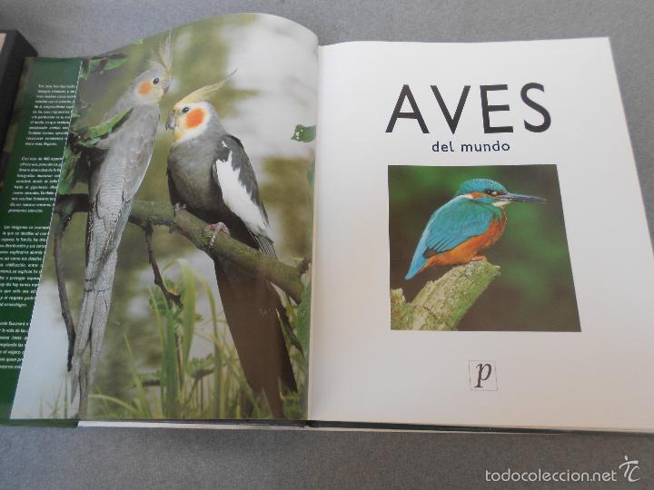 Libros de segunda mano: AVES DEL MUNDO - Foto 4