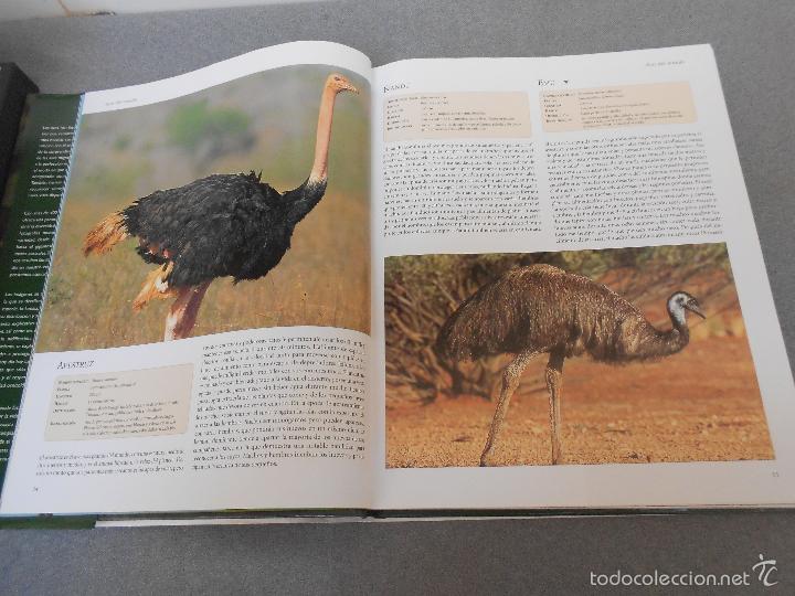 Libros de segunda mano: AVES DEL MUNDO - Foto 5