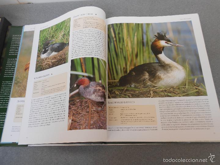 Libros de segunda mano: AVES DEL MUNDO - Foto 6