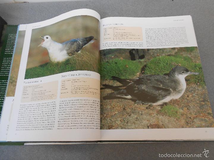 Libros de segunda mano: AVES DEL MUNDO - Foto 7