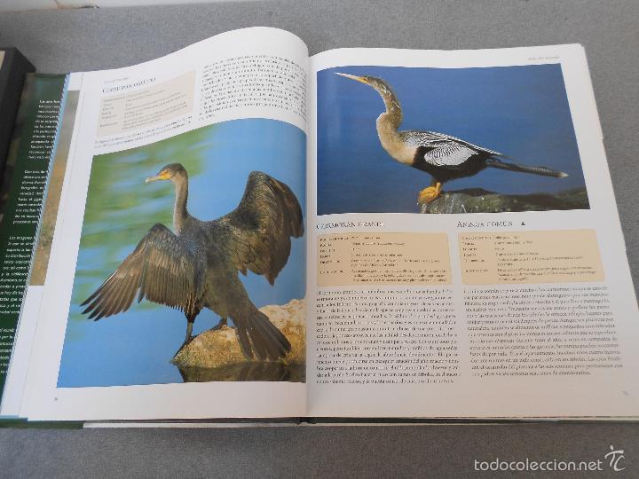 Libros de segunda mano: AVES DEL MUNDO - Foto 8