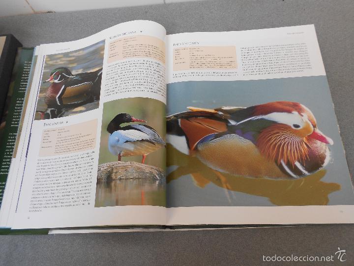 Libros de segunda mano: AVES DEL MUNDO - Foto 11