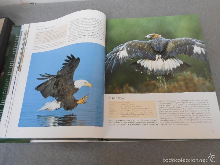Libros de segunda mano: AVES DEL MUNDO - Foto 12