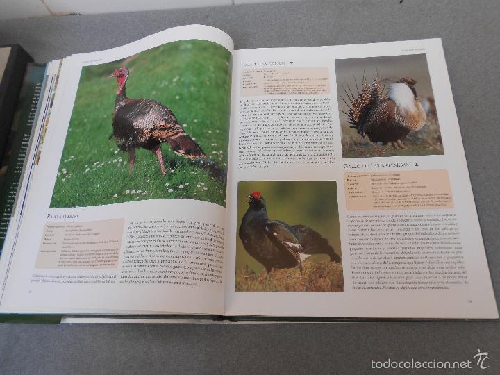 Libros de segunda mano: AVES DEL MUNDO - Foto 13