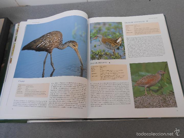 Libros de segunda mano: AVES DEL MUNDO - Foto 14