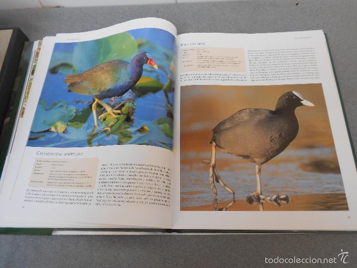 Libros de segunda mano: AVES DEL MUNDO - Foto 15