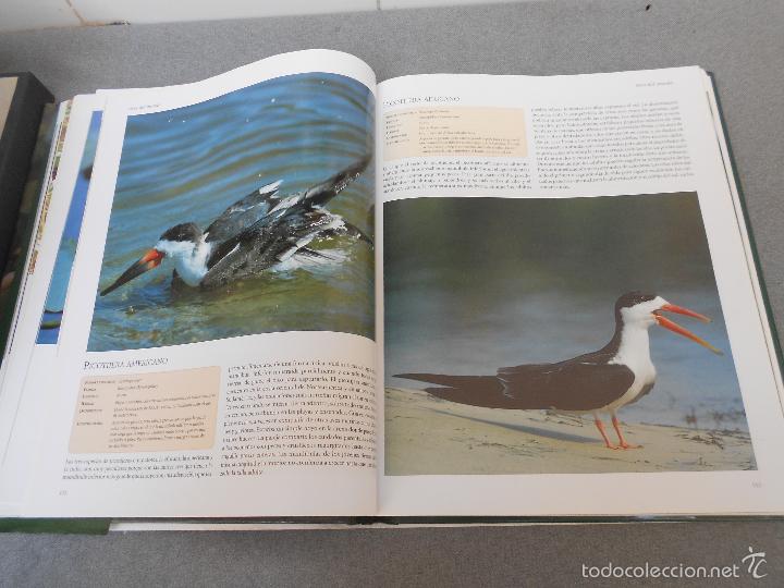 Libros de segunda mano: AVES DEL MUNDO - Foto 16