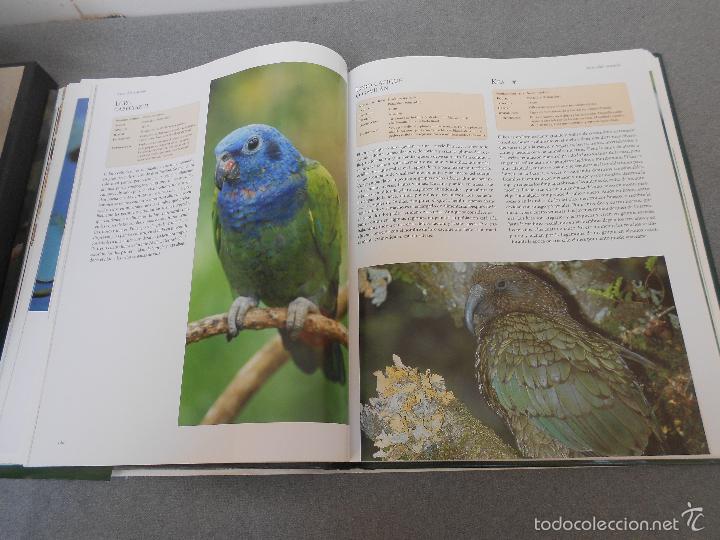 Libros de segunda mano: AVES DEL MUNDO - Foto 17