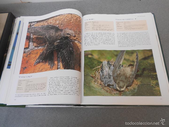 Libros de segunda mano: AVES DEL MUNDO - Foto 18