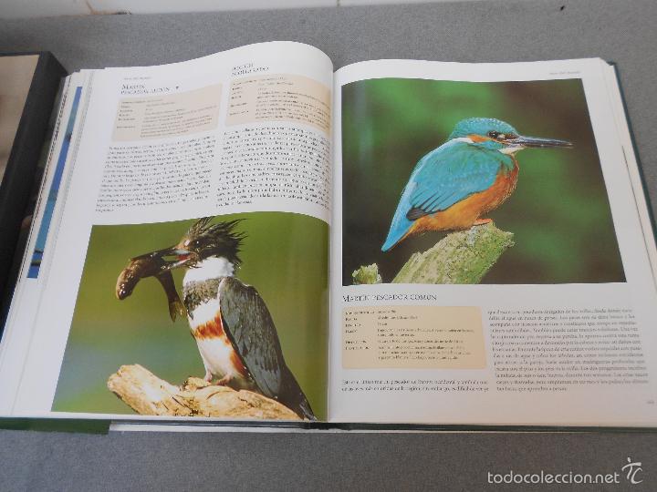 Libros de segunda mano: AVES DEL MUNDO - Foto 19