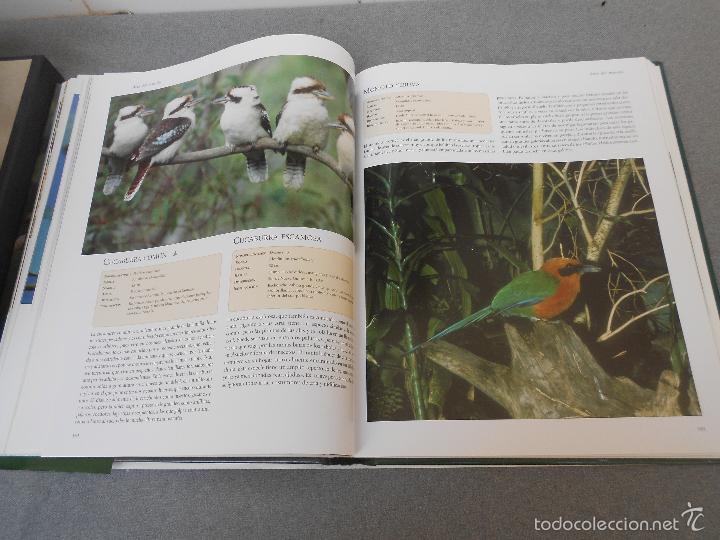 Libros de segunda mano: AVES DEL MUNDO - Foto 20