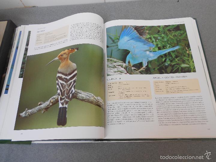 Libros de segunda mano: AVES DEL MUNDO - Foto 21