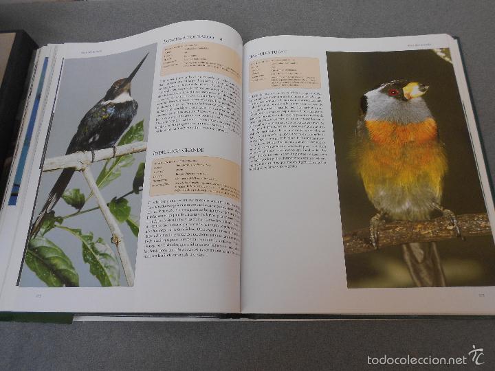 Libros de segunda mano: AVES DEL MUNDO - Foto 22