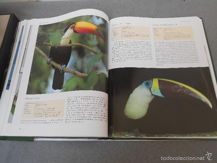 Libros de segunda mano: AVES DEL MUNDO - Foto 23