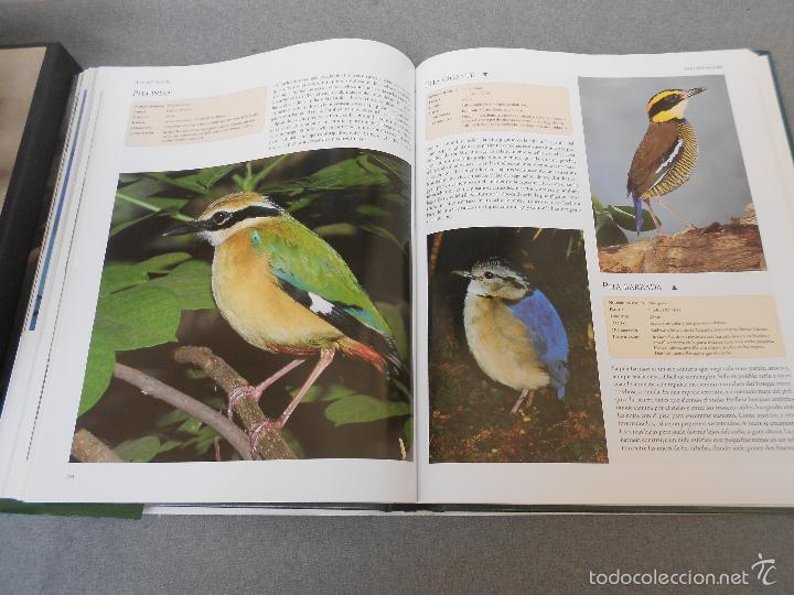 Libros de segunda mano: AVES DEL MUNDO - Foto 24