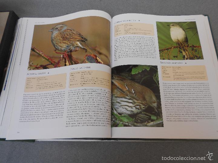 Libros de segunda mano: AVES DEL MUNDO - Foto 25