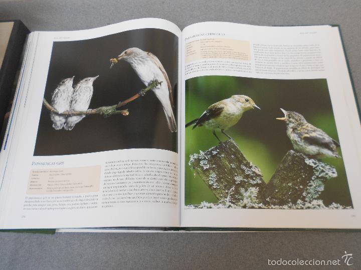 Libros de segunda mano: AVES DEL MUNDO - Foto 26