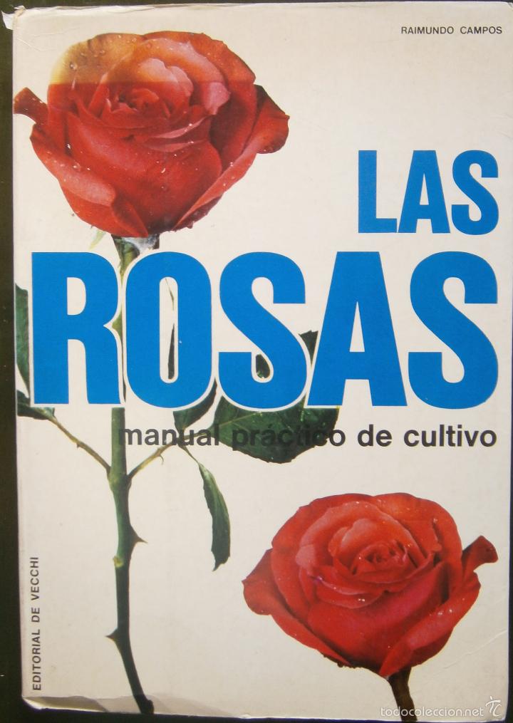 Libros de segunda mano: Las Rosas - Manual pr&aacute;ctico de Cultivo - Raimundo Campos - Foto 1