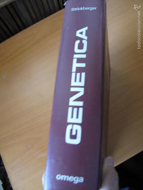 Libros de segunda mano: GEN&Eacute;TICA.- MONROE W. STRICKBERGER.- 2&ordf; EDICI&Oacute;N. EDICIONES OMEGA. 1978 - Foto 2