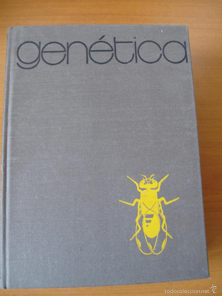 Libros de segunda mano: GEN&Eacute;TICA.- MONROE W. STRICKBERGER.- 1&ordf; EDICI&Oacute;N. EDICIONES OMEGA. 1974 - Foto 1