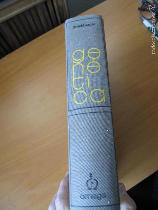 Libros de segunda mano: GEN&Eacute;TICA.- MONROE W. STRICKBERGER.- 1&ordf; EDICI&Oacute;N. EDICIONES OMEGA. 1974 - Foto 2