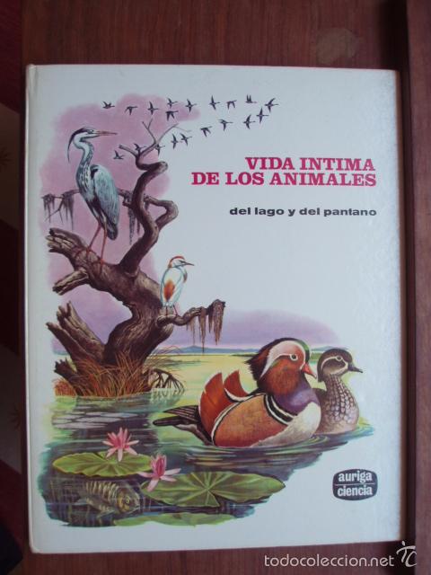 Libros de segunda mano: Vida &iacute;ntima de los animales del lago y del pantano - DAMI, Rinaldo D. - Foto 1