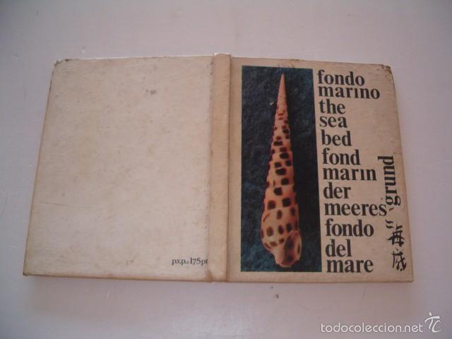 Libros de segunda mano: PAULINO COMA VIDAL. Fondo Marino. RM74939. - Foto 1
