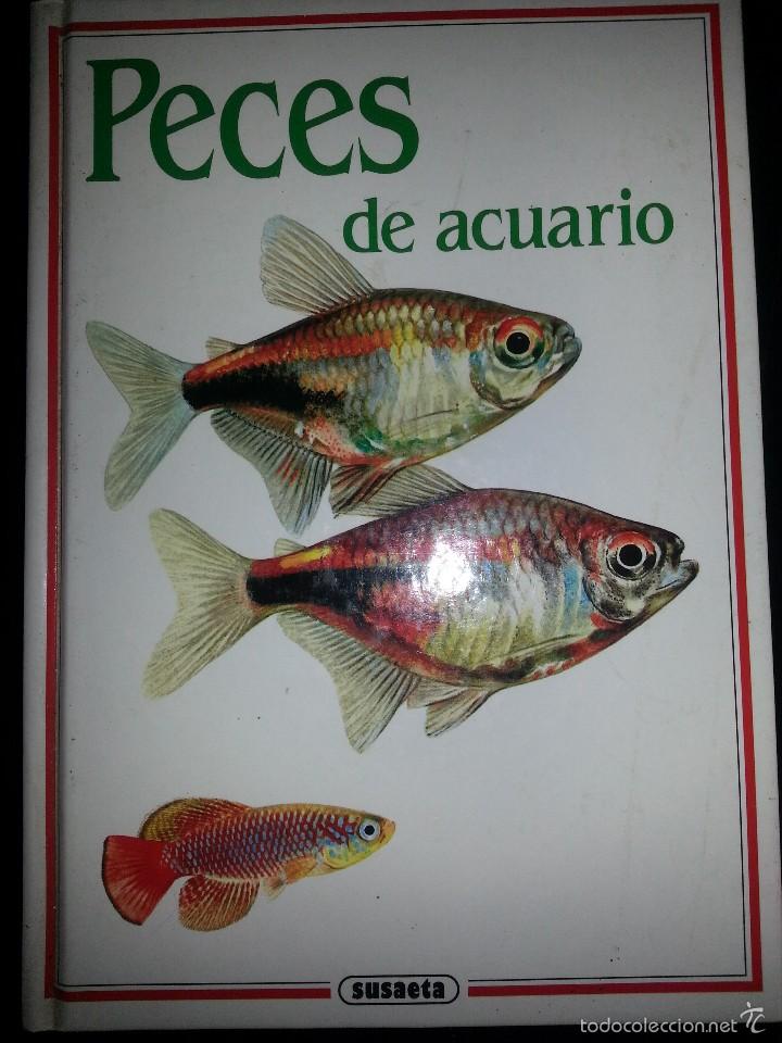 Libros de segunda mano: PECES DE ACUARIO SUSAETA EDICCIONES - Foto 1