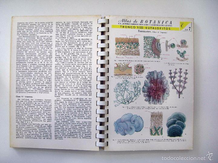 Libros de segunda mano: J.M. THOMAS - DOMENECH - ATLAS DE BOT&Aacute;NICA. EDICIONES JOVER, 1964. - Foto 3