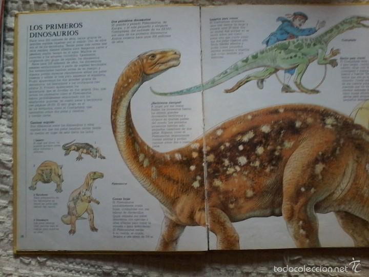 Libros de segunda mano: C&Oacute;MO VIV&Iacute;AN LOS DINOSAURIOS - ED. PLAZA JOVEN-C&Iacute;RCULO - Foto 2
