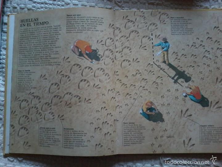 Libros de segunda mano: C&Oacute;MO VIV&Iacute;AN LOS DINOSAURIOS - ED. PLAZA JOVEN-C&Iacute;RCULO - Foto 3