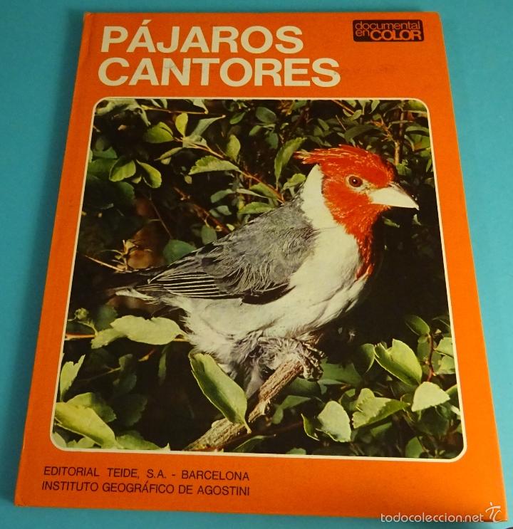 Libros de segunda mano: P&Aacute;JAROS CANTORES. ARMANDO GRASSELLI - Foto 1