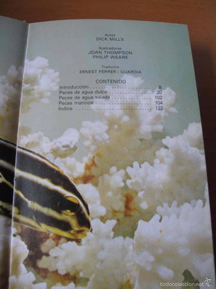 Libros de segunda mano: LOS PECES DE ACUARIO.- DICK MILLS.- EDITORIAL FONTALBA. - Foto 2